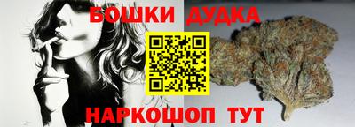 амф Кингисепп