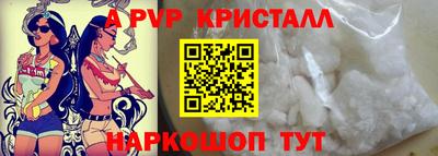 амф Кингисепп