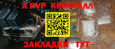 амф Кингисепп